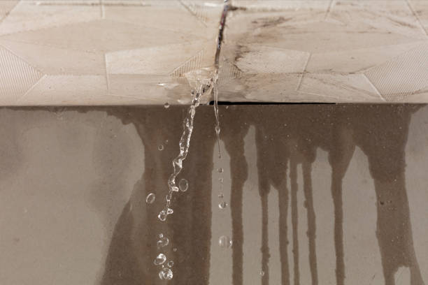 Professional Water Damage Inspection technician working in Clayton, MO